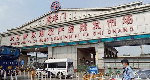 深夜發(fā)布 豐臺(tái)區(qū)副區(qū)長等被免職，食用農(nóng)產(chǎn)品批發(fā)市場監(jiān)管再響警鐘