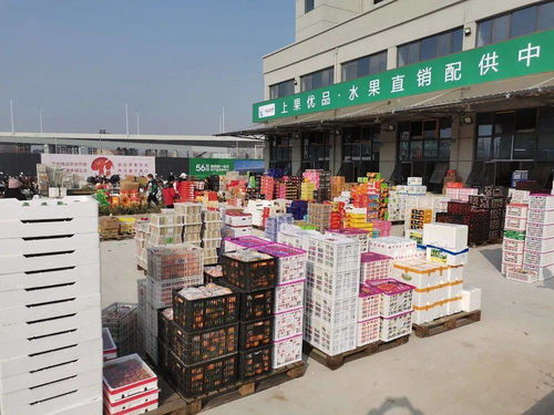海吉星農產品物流園盛大開業 安慶“菜籃子”升級，農產品流通邁入新時代